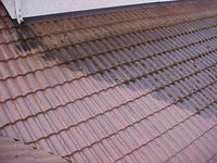 roof cleaning